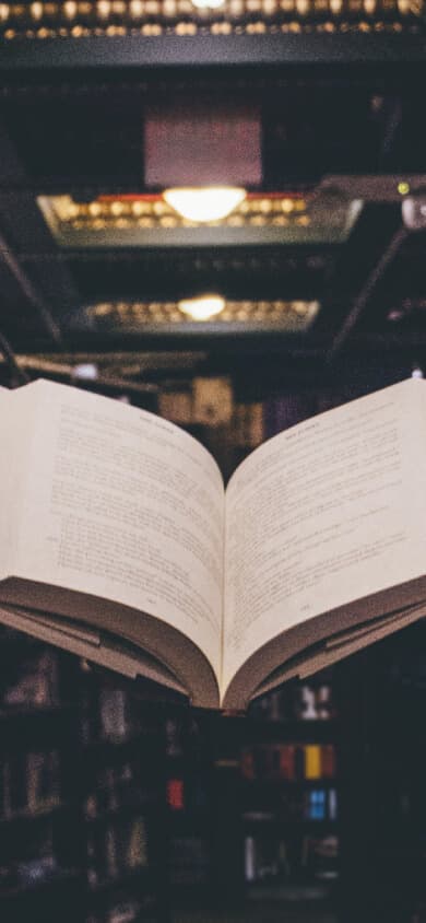 Header Image